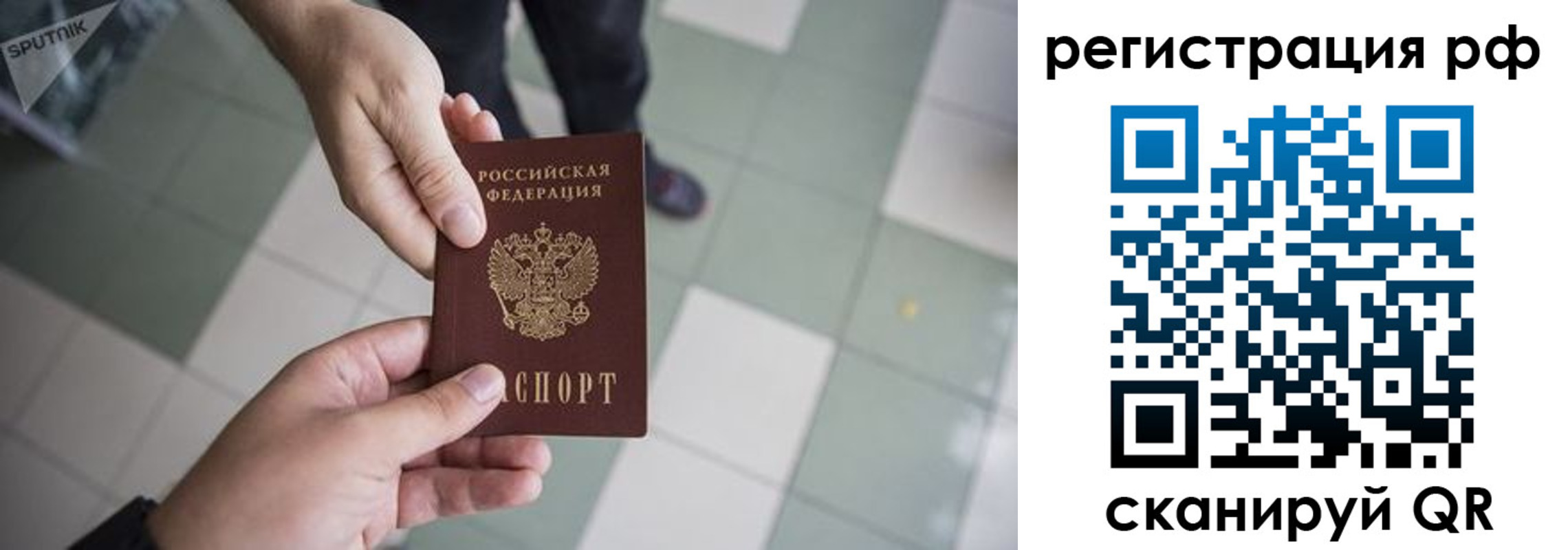прописка гарантия в Благовещенске